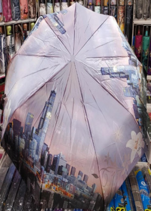 Зонт 2109068