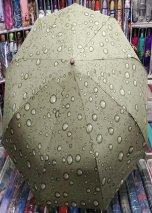 Зонт 2109093