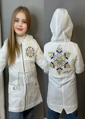 Ветровка 2297832