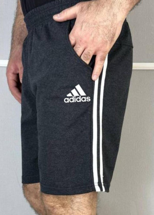 Шорты 2305428