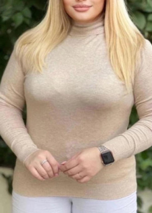 Водолазка 2326301