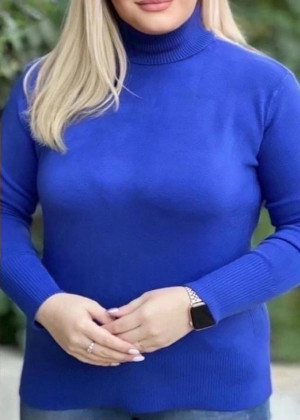 Водолазка 2326305