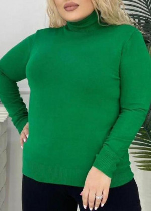 Водолазка 2326307