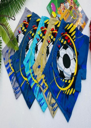 Трусы для мальчиков 10шт 2335099