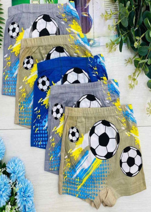 Трусы для мальчиков 10шт 2335103