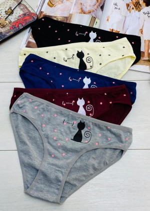 Трусы 5шт 2341750