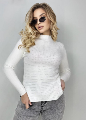 Водолазка 2341939