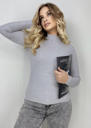 Водолазка 2341941