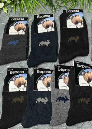 Носки 10пар 2342332