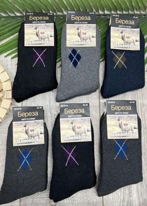 Носки 10пар 2342333