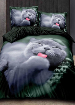 Постельное белье 2342726