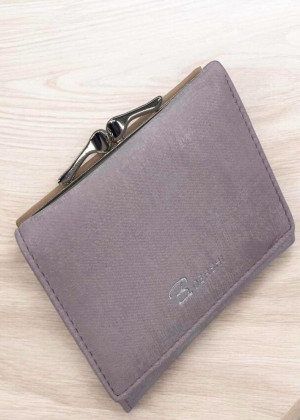 Кошелёк 2343950