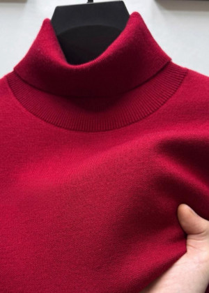 Водолазка 2346148