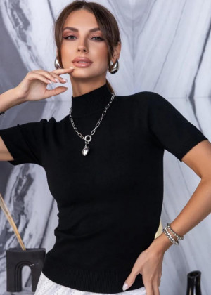 Водолазка 2346158