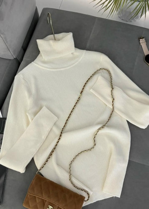 Водолазка 2346184