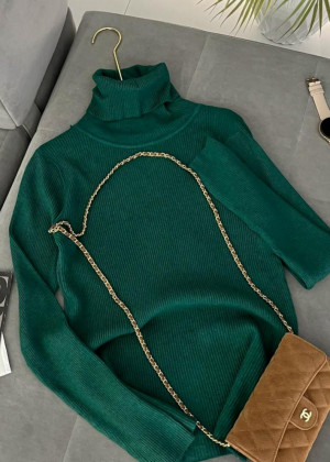 Водолазка 2346188