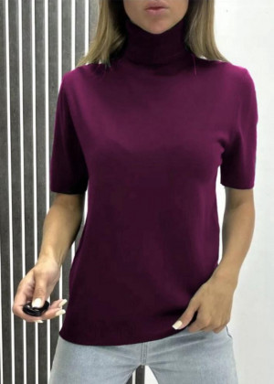 Водолазка 2346199