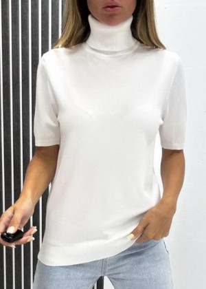 Водолазка 2346202