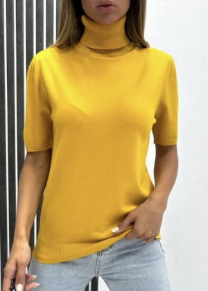 Водолазка 2346203