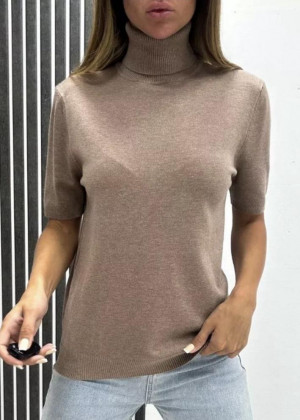 Водолазка 2346205