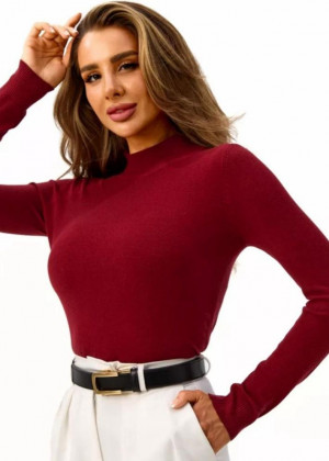 Водолазка 2346207