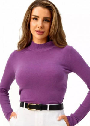 Водолазка 2346208