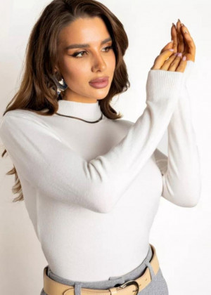 Водолазка 2346209