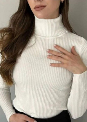 Водолазка 2346217