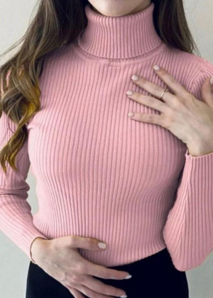 Водолазка 2346219