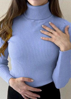 Водолазка 2346221