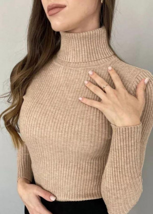 Водолазка 2346222