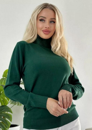 Водолазка 2346225