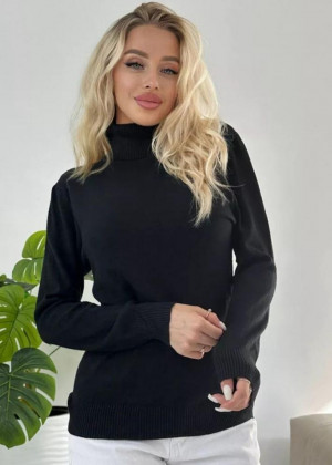 Водолазка 2346227