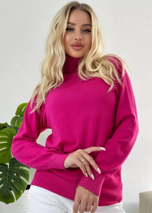 Водолазка 2346229