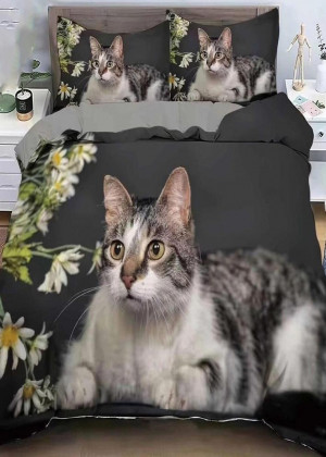 Постельное белье 2347475