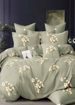 Постельное белье 2347647