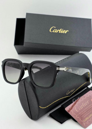 Мужские солнцезащитные очки 2350328