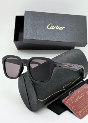 Мужские солнцезащитные очки 2350329