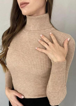 Водолазка 2351311