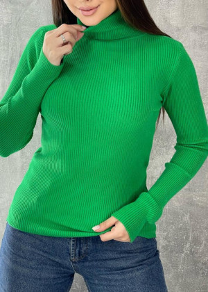 Водолазка 2351318