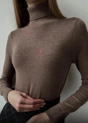 Водолазка 2351450