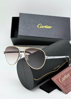 Мужские солнцезащитные очки 2352220