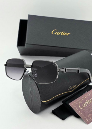 Мужские солнцезащитные очки 2352240