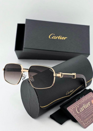 Мужские солнцезащитные очки 2352241