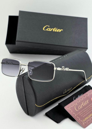 Набор мужские солнцезащитные очки, коробка, чехол + салфетки 2352260