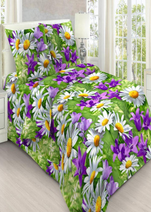 Постельное белье 2353119