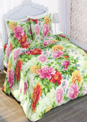 Постельное белье 2353123