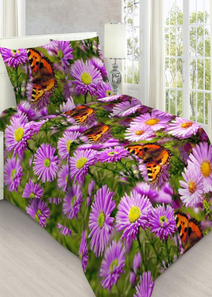 Постельное белье 2353154