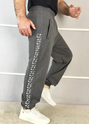 Спортивные брюки 2362831