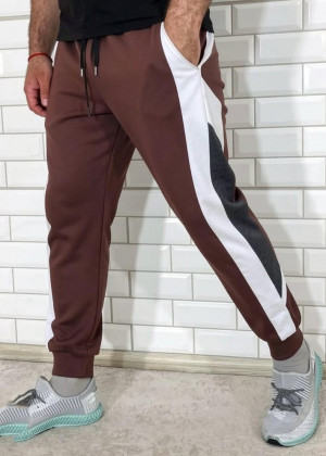 Спортивные брюки 2362850